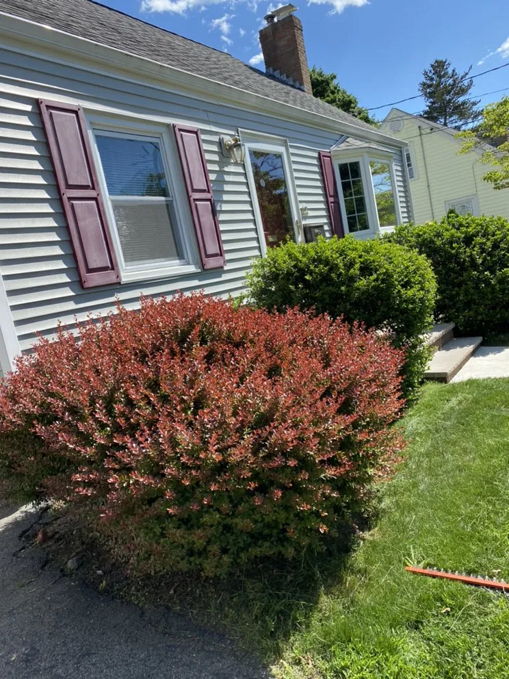 Affordable yard cleanup service in Quincy, MA - Sovereign Building Services