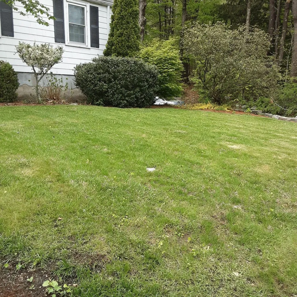 Expert outdoor landscaping in Quincy, MA - Sovereign Building Services