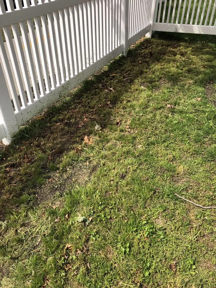 Local landscape design in Quincy, MA - Sovereign Building Services