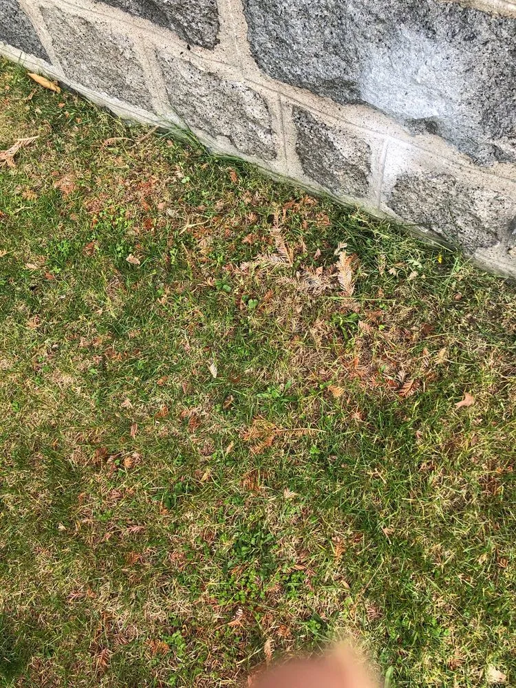 Professional residential landscaping in Quincy, MA - Sovereign Building Services