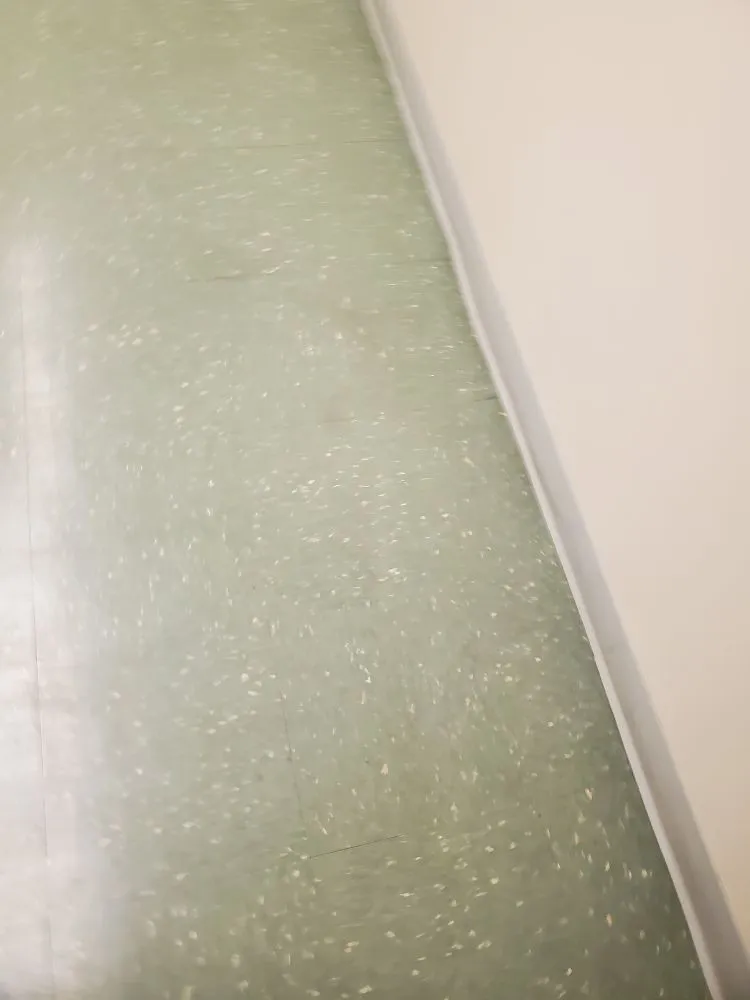 Local yard maintenance for outdoor upgrades across Quincy, MA - Sovereign Building Services