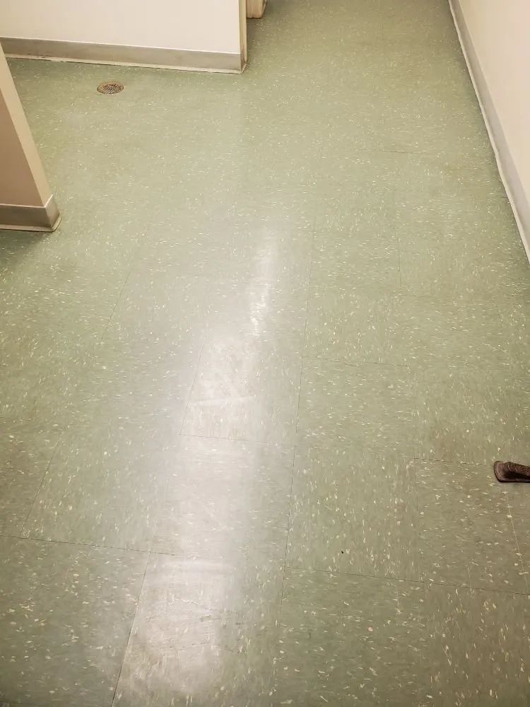 Custom yard cleanup service in Quincy, MA by Sovereign Building Services