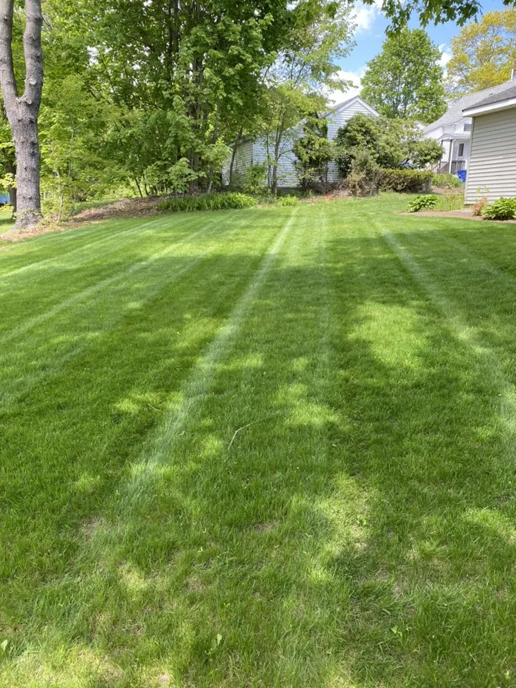 Local outdoor landscaping for beautiful yards in Quincy, MA by Sovereign Building Services