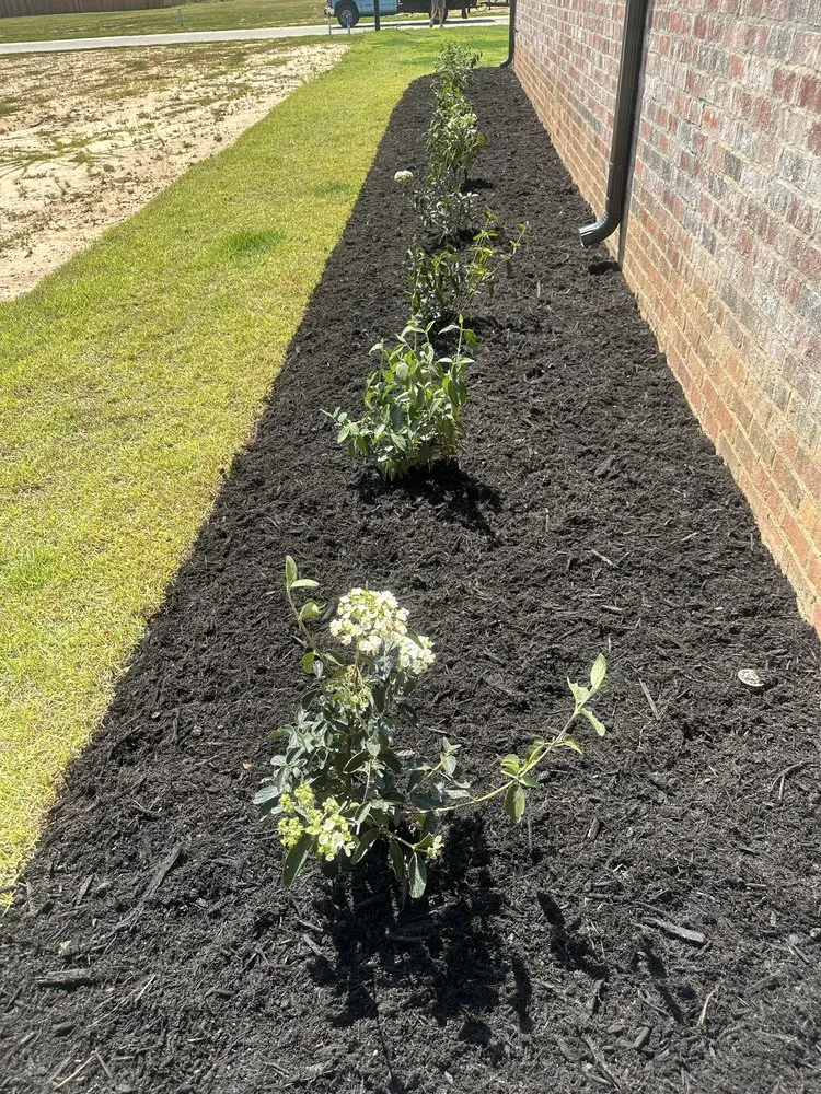 Professional landscaping services for homes in Meridian, MS by Sovereign Residential Services