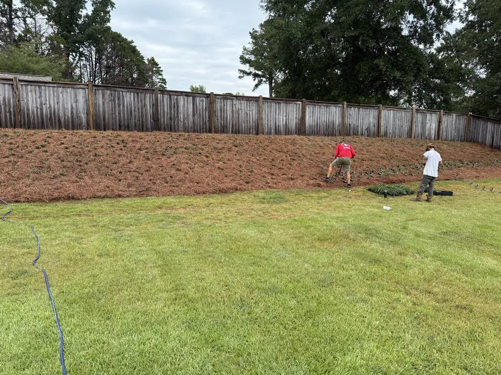 Local yard maintenance for residential properties in Meridian, MS by Sovereign Residential Services