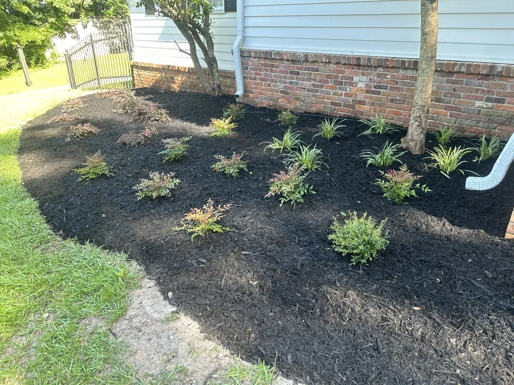 Professional lawn care service for year-round maintenance in Meridian, MS by Sovereign Residential Services