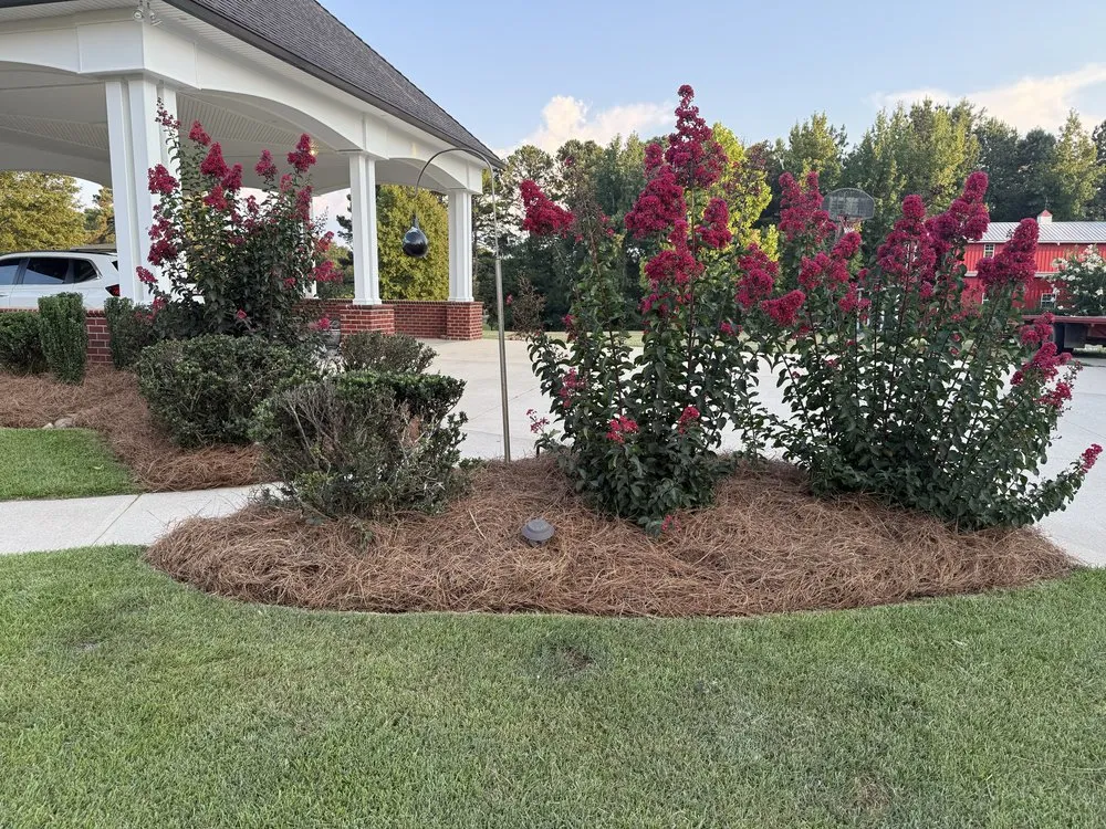 Expert residential landscaping in Meridian, MS by Sovereign Residential Services