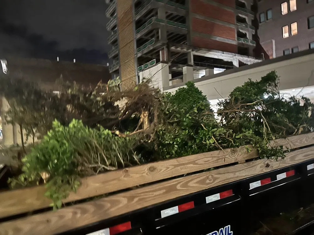 Custom lawn mowing service in Meridian, MS - Sovereign Residential Services