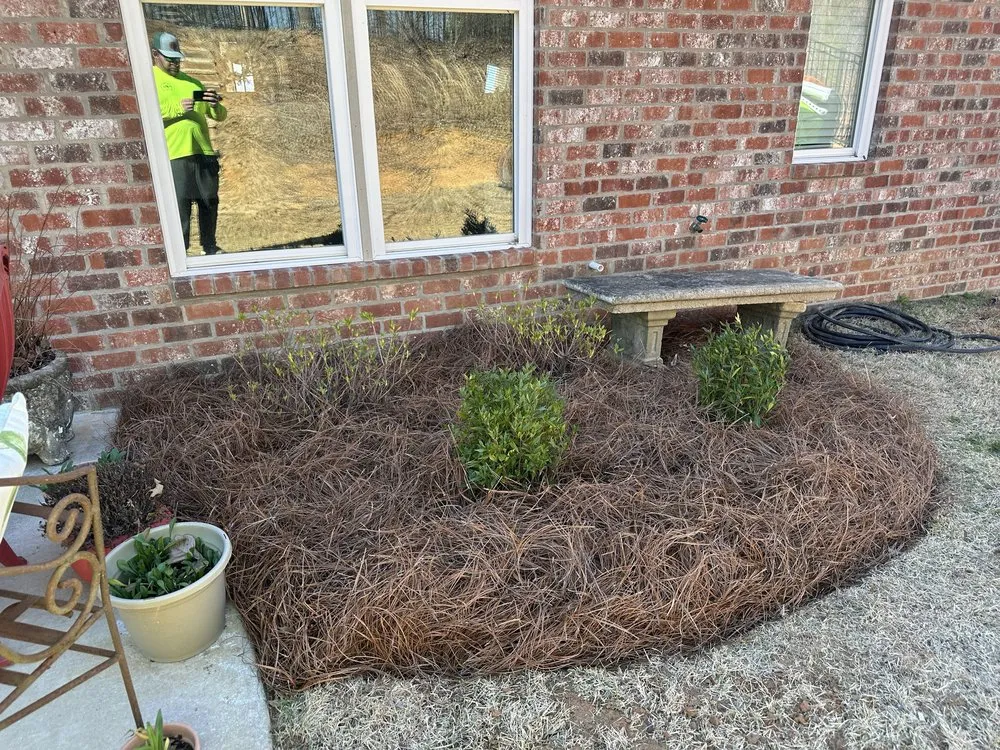 Expert landscape design for homes across Meridian, MS - Sovereign Residential Services