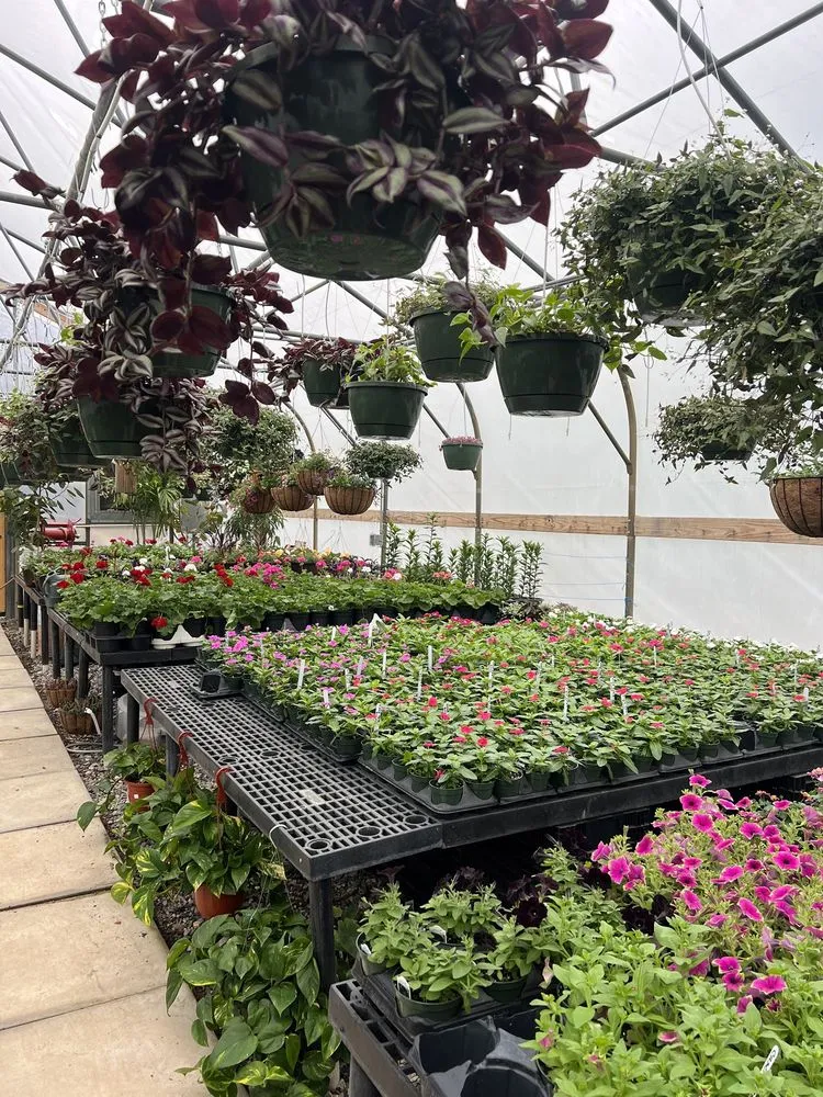 Expert landscape installation for outdoor upgrades in High Point, NC by Soviero's Tri County Garden Center