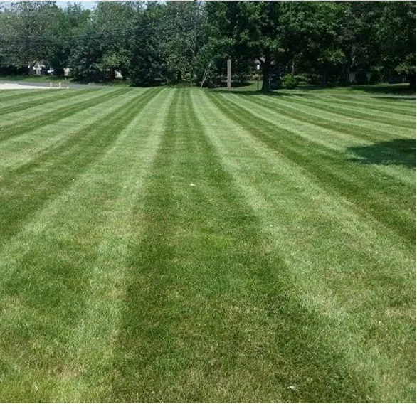 Professional residential landscaping in Hatfield, PA by Sovocool Landscaping