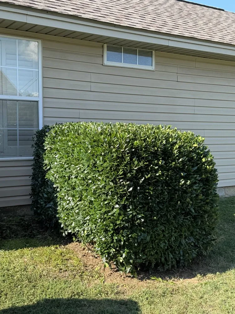 Affordable lawn mowing service experts serving Wetumpka, AL - Sow & Grow Lawncare