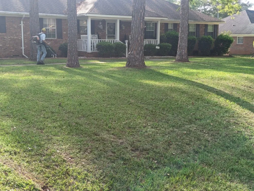 Local landscape design experts serving Sylvester, GA - Sowega Lawn Care