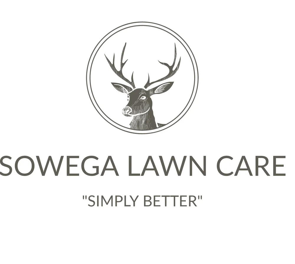 Professional residential landscaping in Sylvester, GA - Sowega Lawn Care