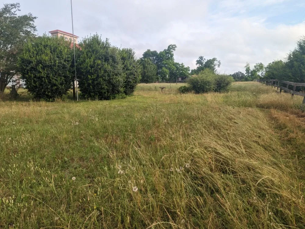 Professional lawn care service in Sylvester, GA - Sowega Lawn Care