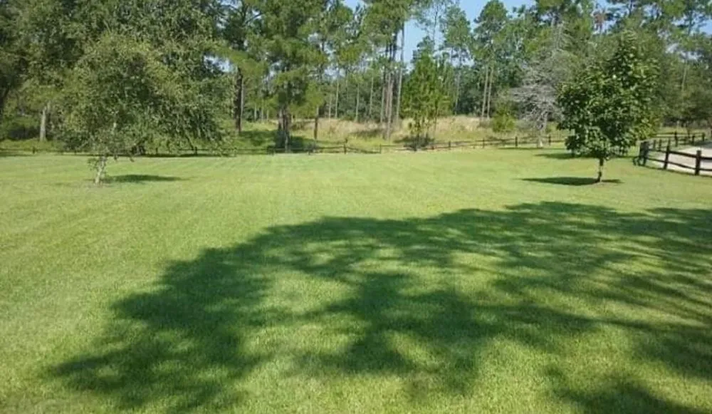 Reliable landscape installation for year-round maintenance in Sylvester, GA by Sowega Lawn Care