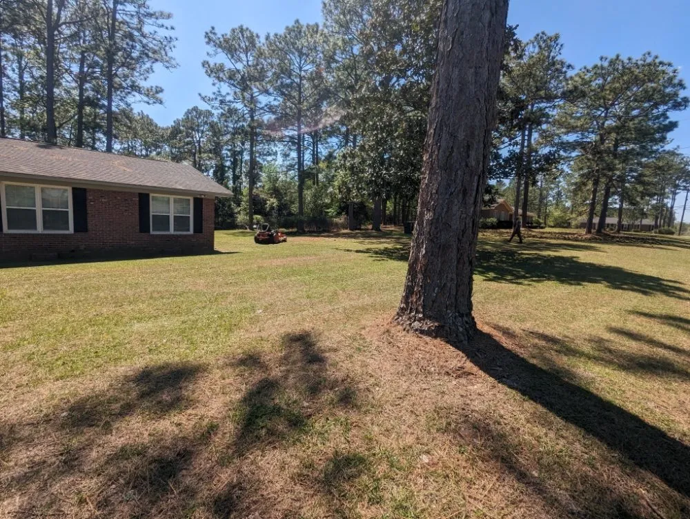 Expert landscaping services near you in Sylvester, GA by Sowega Lawn Care