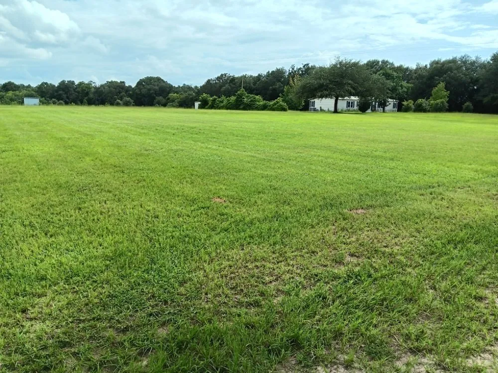 Top-rated landscape installation for year-round maintenance across Sylvester, GA - Sowega Lawn Care