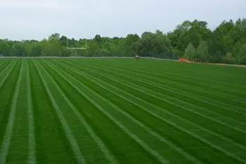 Affordable lawn mowing service in Johnstown, OH by Sowers Lawn Care