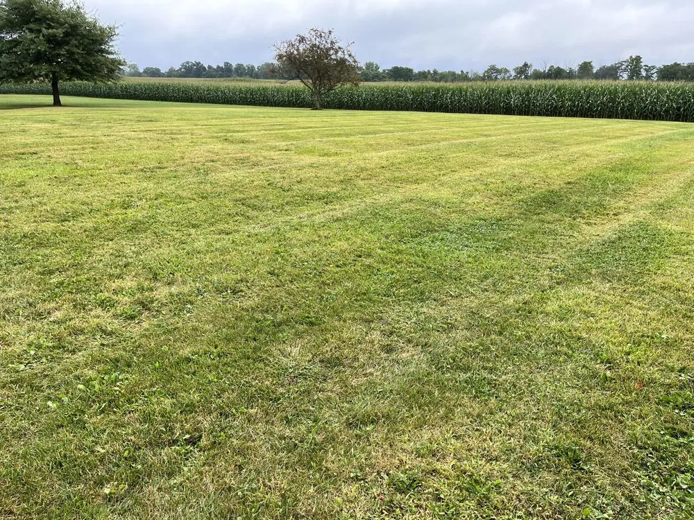 Custom lawn mowing service for homes in Englewood, OH by Sower's Lawn Maintenance