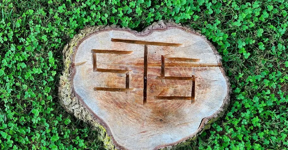 Professional residential landscaping near you across Brightwood, VA - Sowers Tree Service