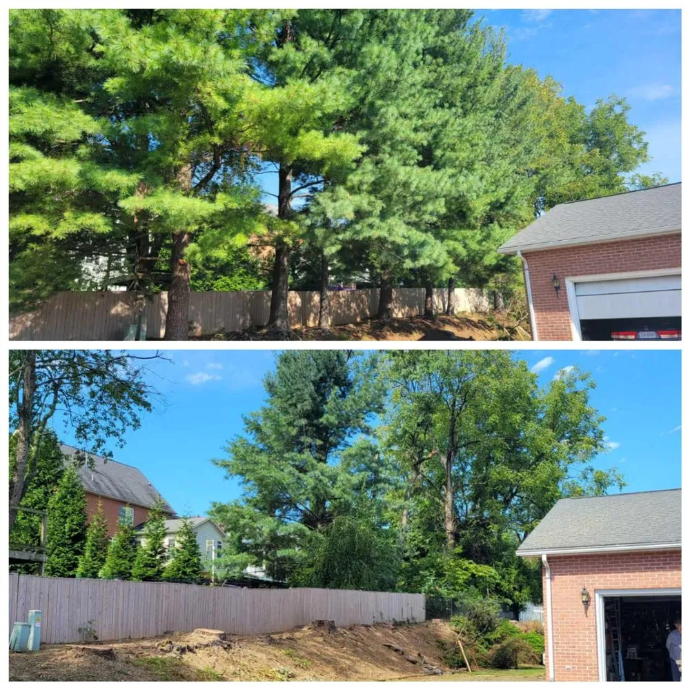Local lawn care service in Brightwood, VA by Sowers Tree Service
