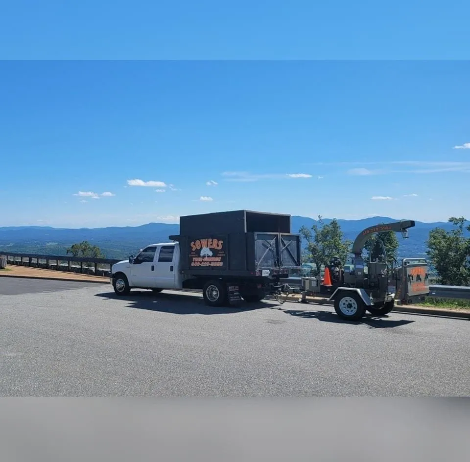 Expert yard cleanup service in Brightwood, VA by Sowers Tree Service