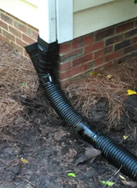 Top-rated landscaping services for homes across Knightdale, NC - Sowing Seeds Landscaping & Construction