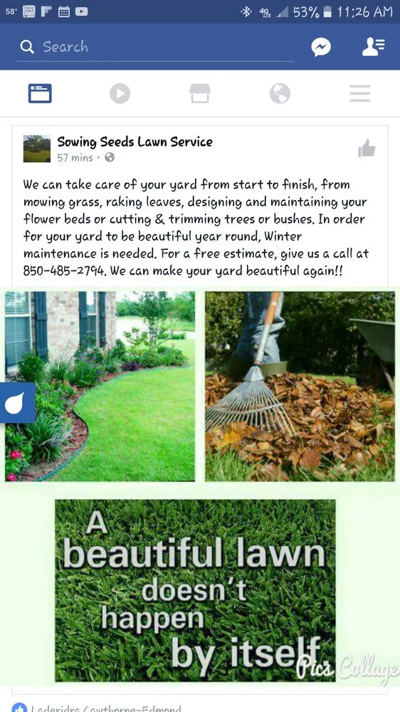 Reliable garden landscaping for beautiful yards in Gulf Breeze, FL by Sowing Seeds Lawn Service