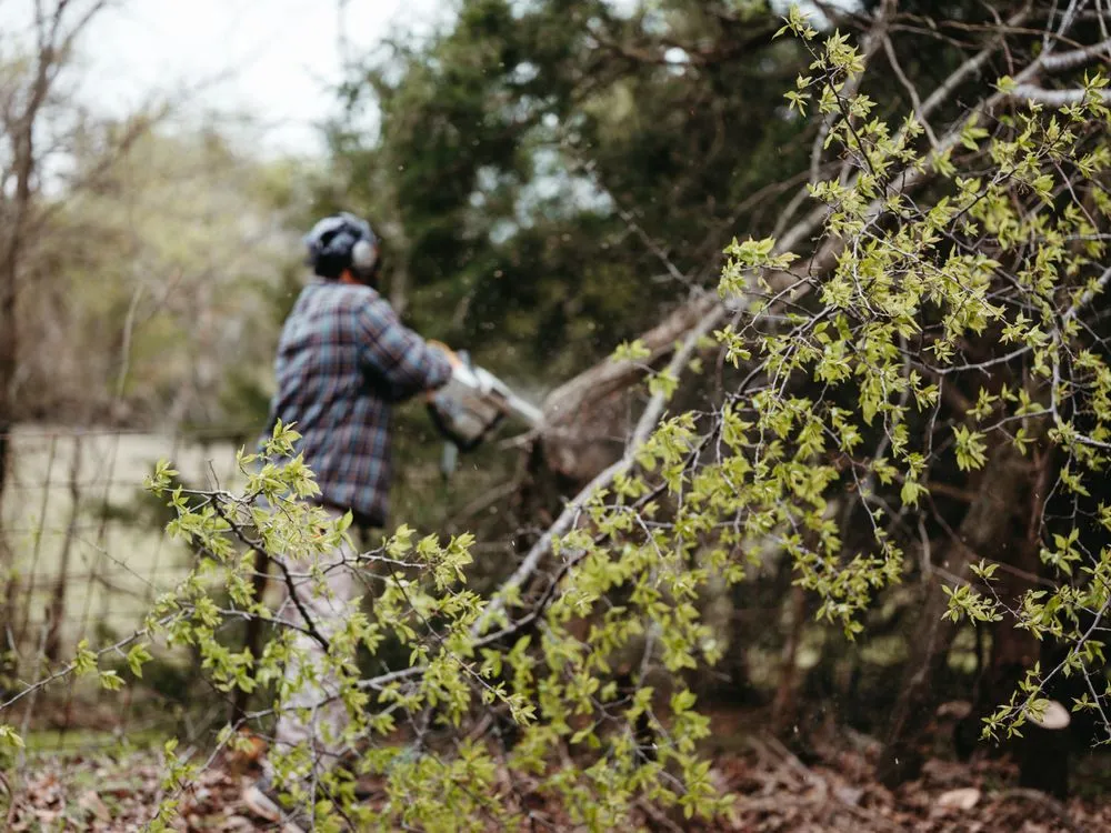 Top-rated yard maintenance for homes across Terrell, TX - Sozo Landworks