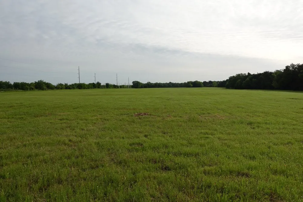 Custom landscape installation for year-round maintenance across Terrell, TX - Sozo Landworks