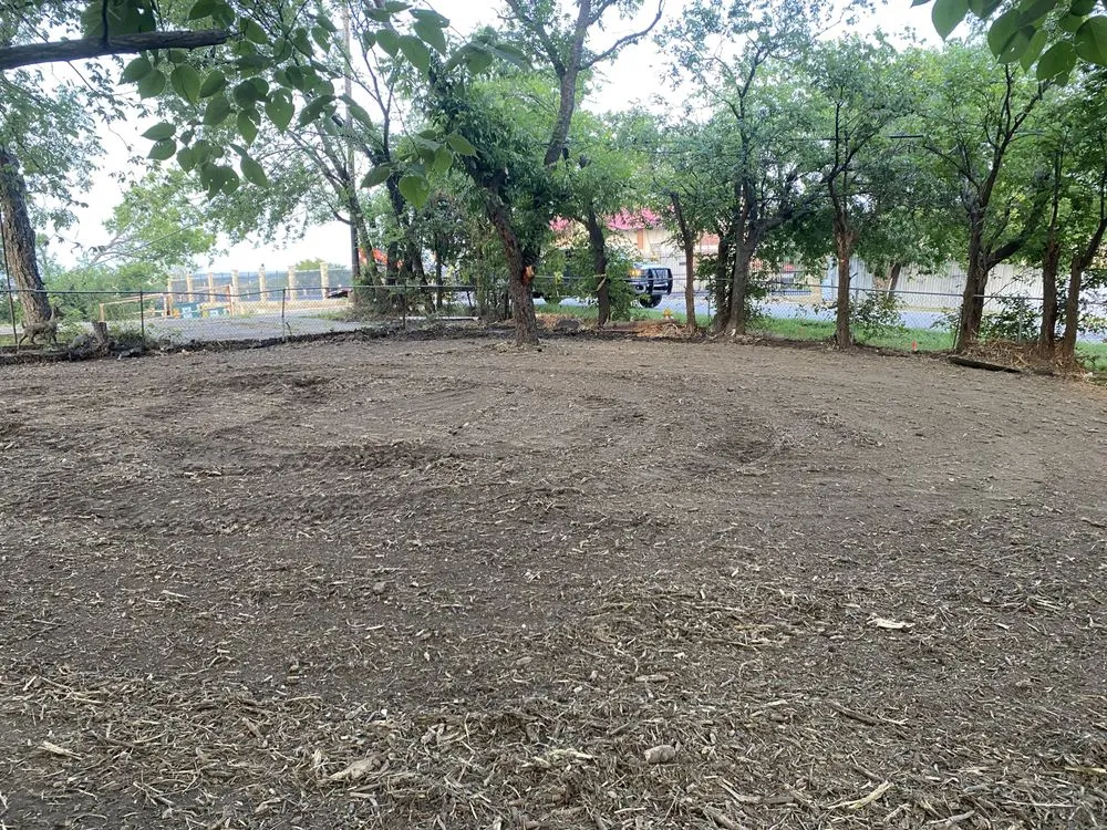 Trusted yard cleanup service for outdoor upgrades in Terrell, TX by Sozo Landworks