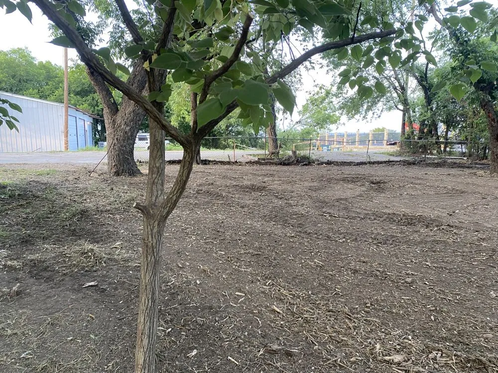 Top-rated yard cleanup service near you in Terrell, TX by Sozo Landworks