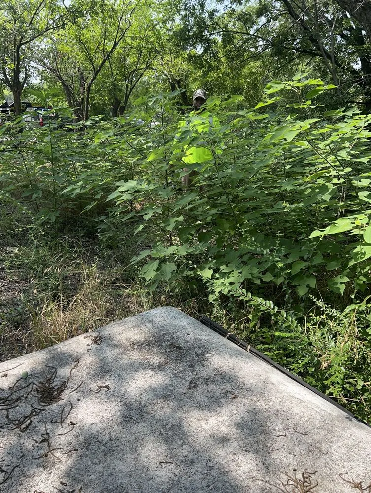 Expert outdoor landscaping in Terrell, TX by Sozo Landworks