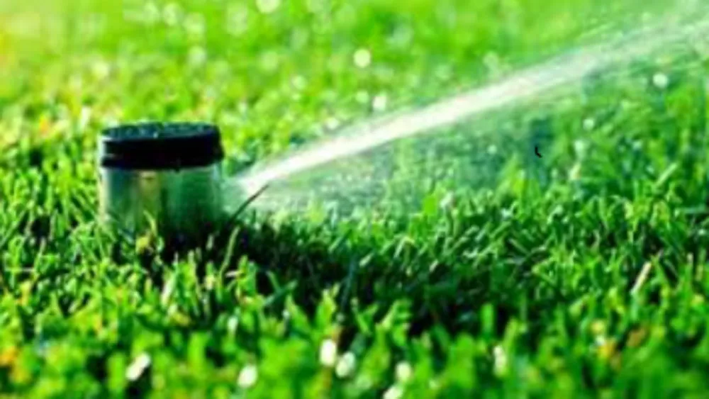 Trusted landscape installation near you in El Paso, TX by SP & LC Landscape Contractors