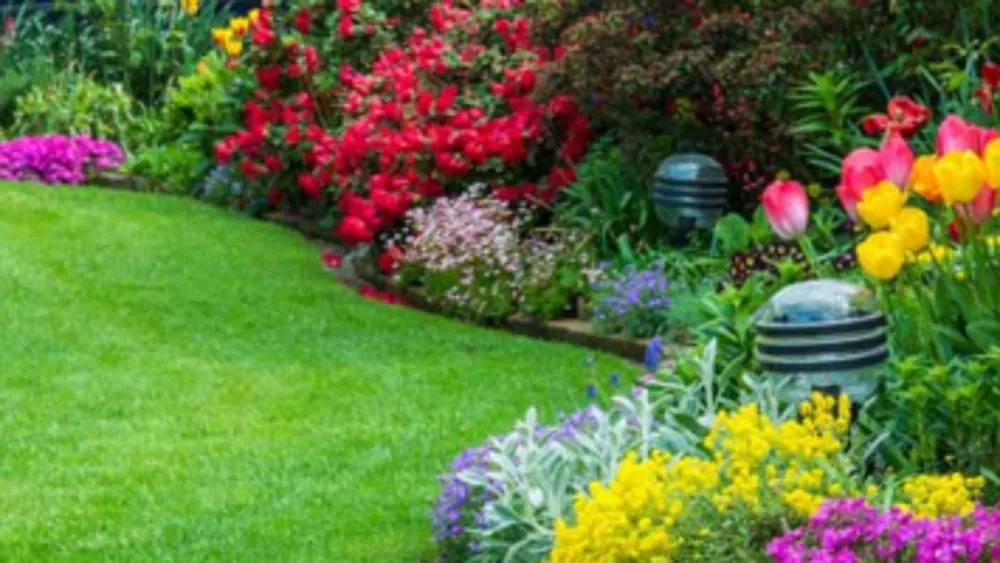 Reliable garden landscaping in El Paso, TX - SP & LC Landscape Contractors