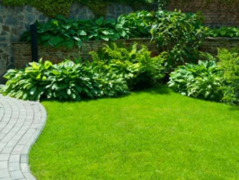 Reliable outdoor landscaping in El Paso, TX by SP & LC Landscape Contractors