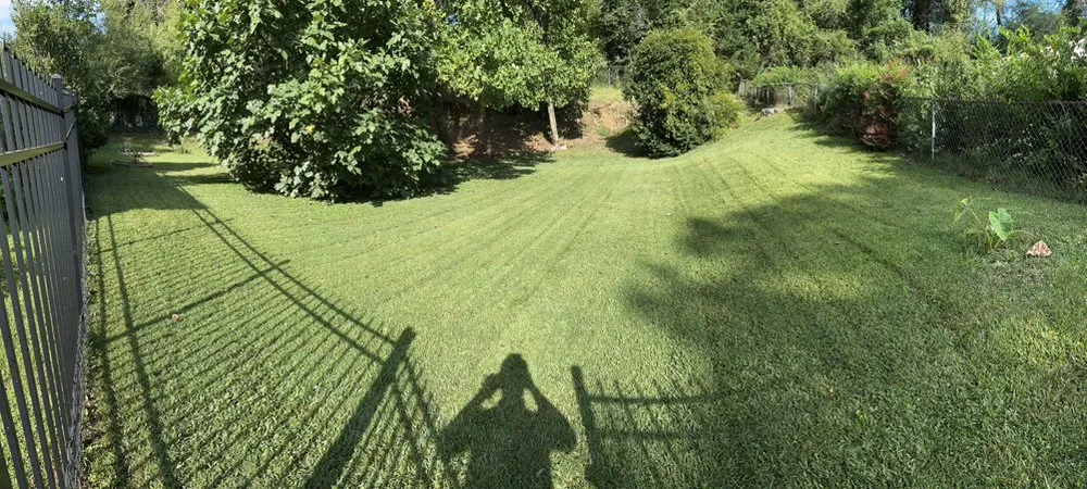 Affordable residential landscaping in Atlanta, GA by SP Garden Service