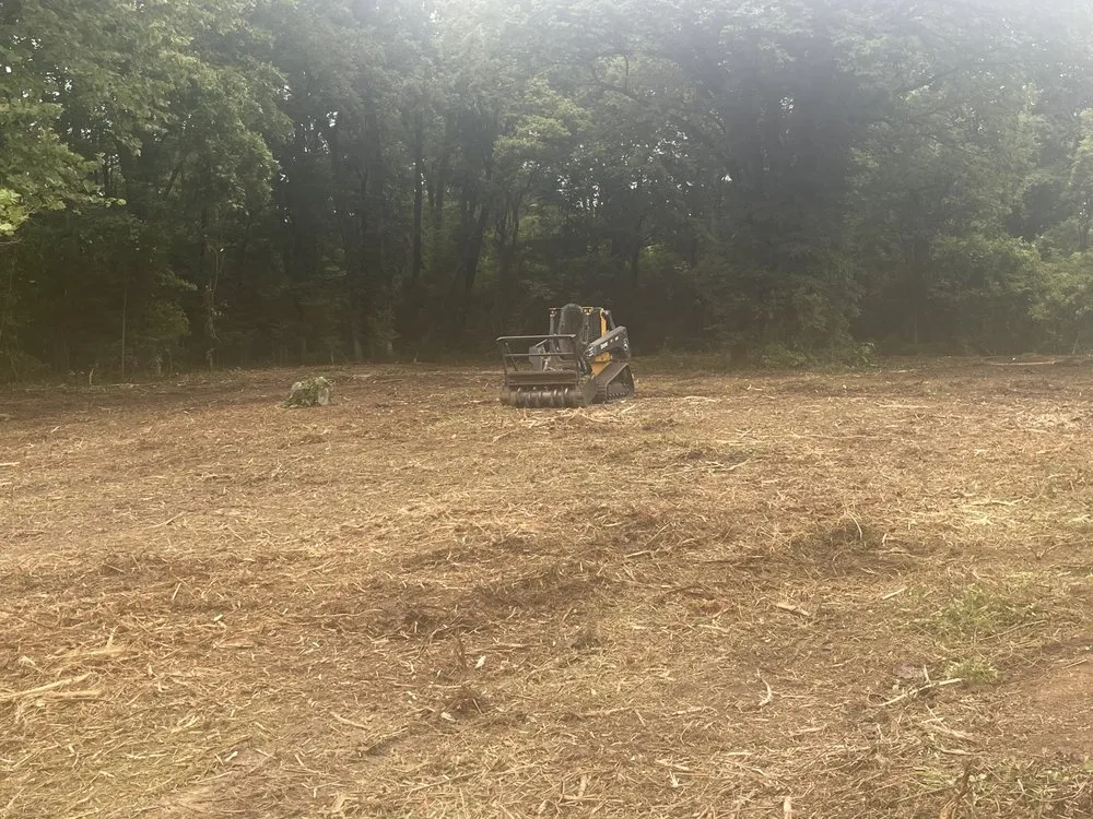 Reliable landscaping services for year-round maintenance in Little Rock, AR by S&P Land Restoration