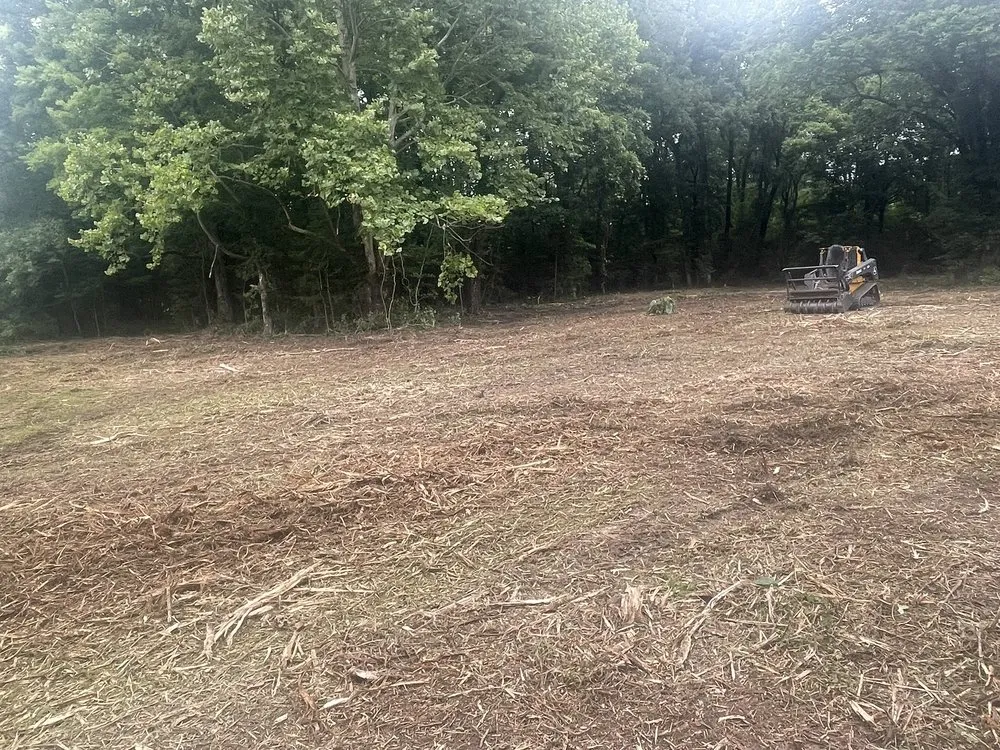 Reliable residential landscaping experts serving Little Rock, AR - S&P Land Restoration