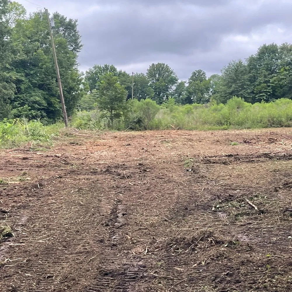 Top-rated residential landscaping in Little Rock, AR - S&P Land Restoration