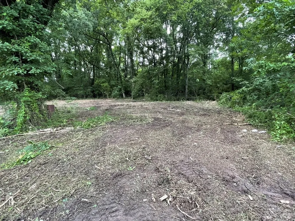 Professional residential landscaping near you in Little Rock, AR by S&P Land Restoration