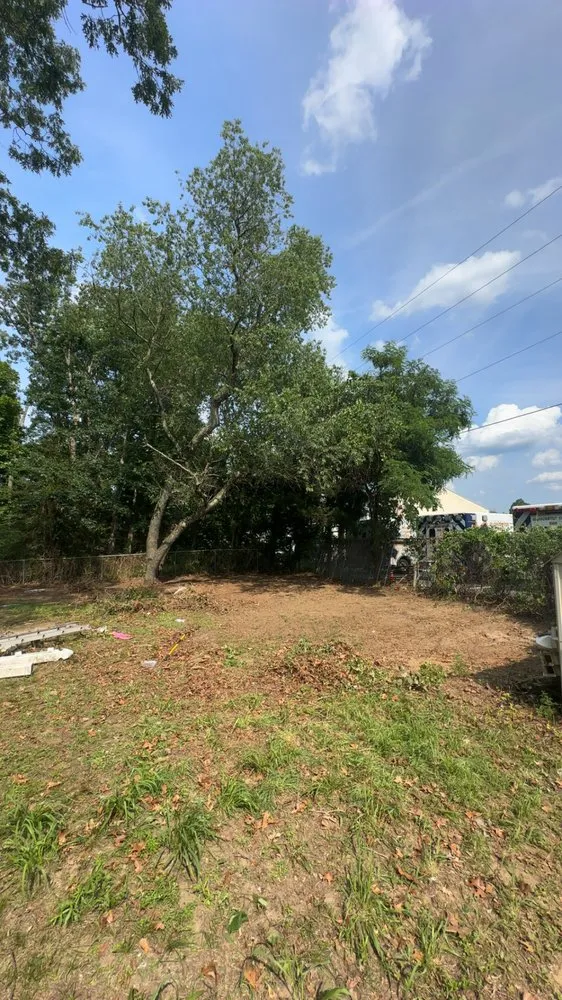 Top-rated garden landscaping for outdoor upgrades across Williamstown, NJ - SP Landscaping