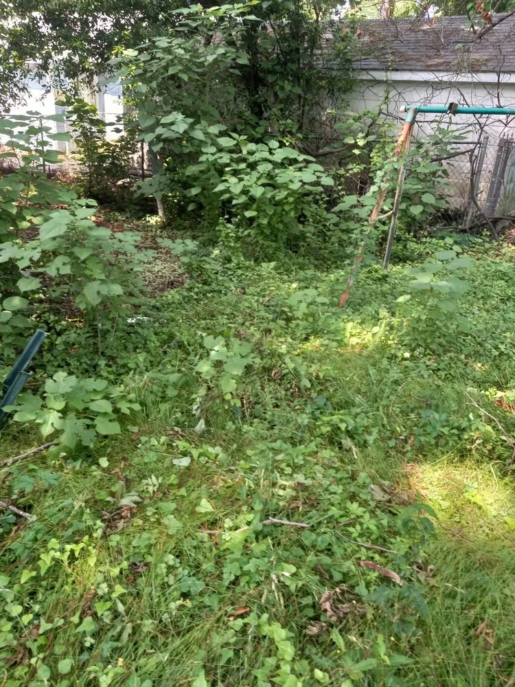 Expert outdoor landscaping for outdoor upgrades in Vicksburg, MS by S&P Lawn service