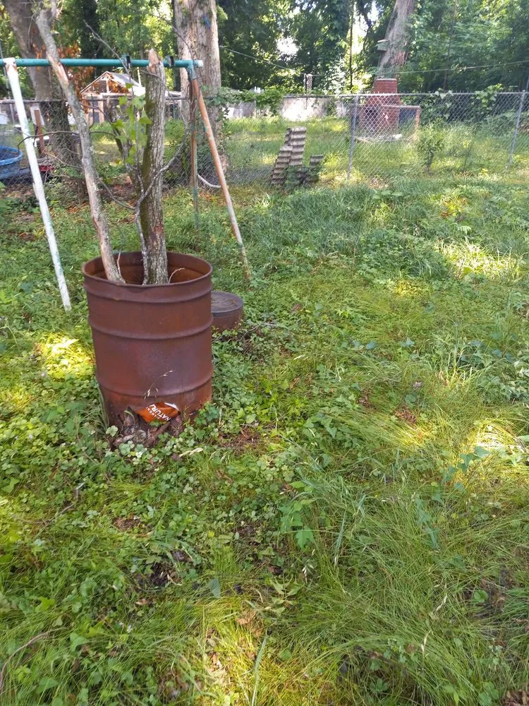 Expert yard cleanup service for beautiful yards in Vicksburg, MS by S&P Lawn service