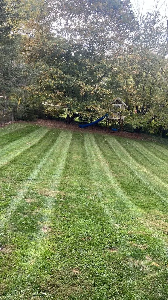 Custom lawn care service in Hendersonville, NC by Sp Property Services