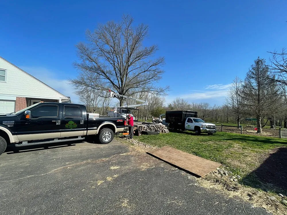 Trusted lawn care service experts serving Hatfield, PA - S&P Tree Care & Landscape LLC