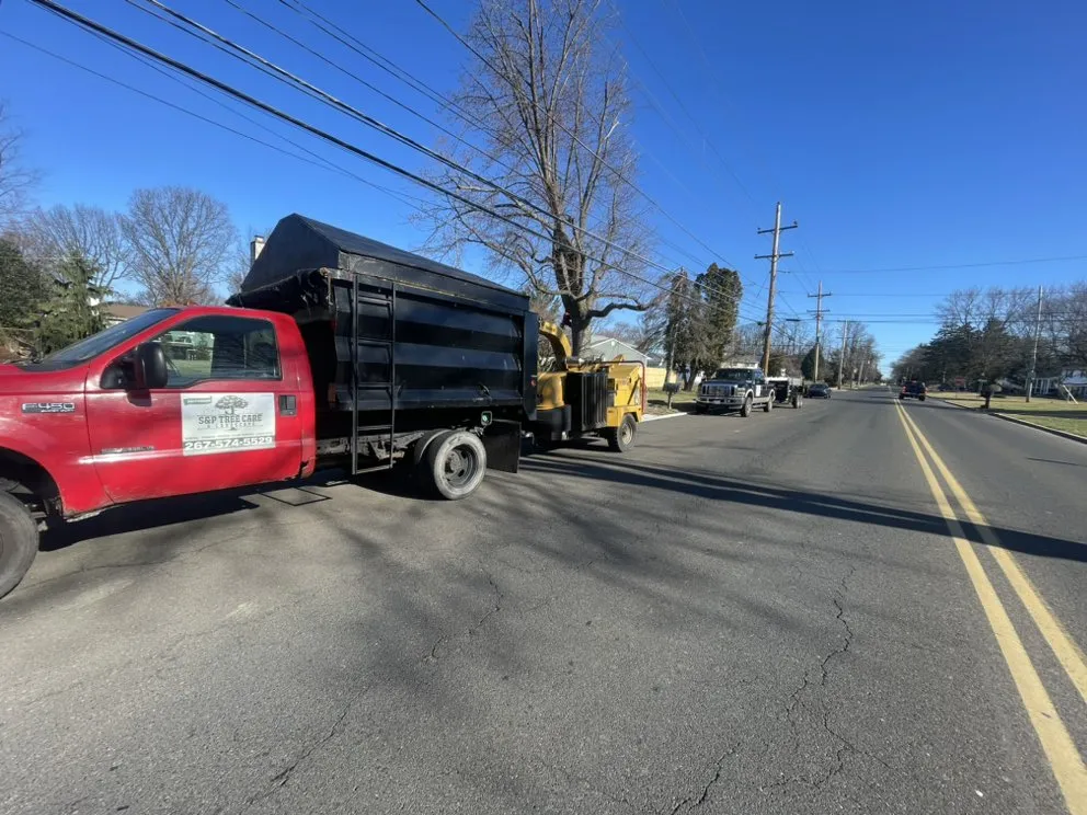 Affordable outdoor landscaping experts serving Hatfield, PA - S&P Tree Care & Landscape LLC