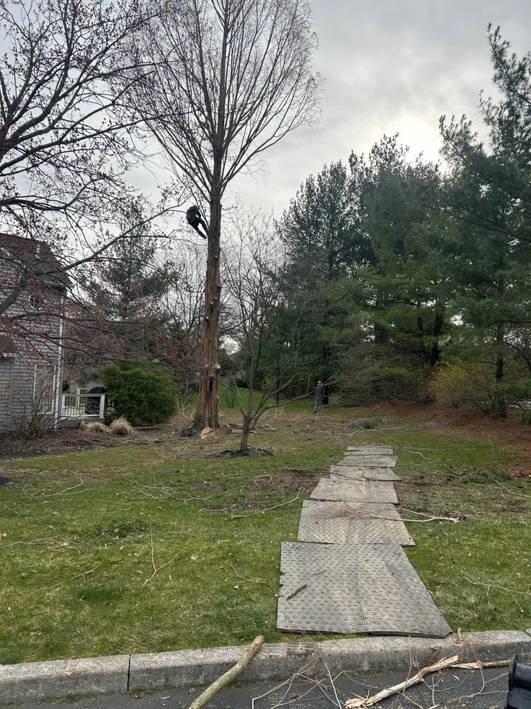 Local landscape installation in Hatfield, PA - S&P Tree Care & Landscape LLC