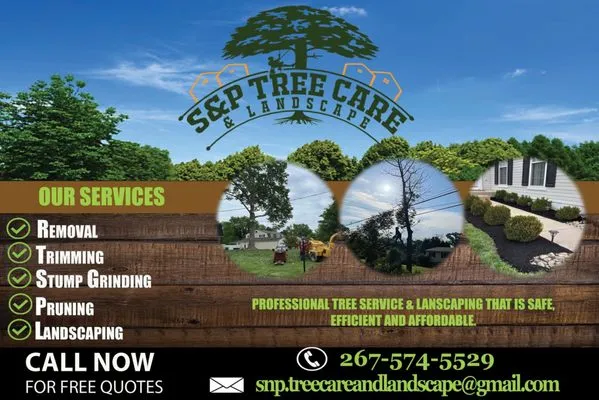 S&P Tree Care & Landscape LLC